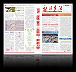 报纸排版设计