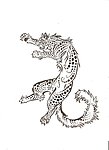 豹子素描