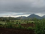 乡村景色
