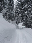 雪景