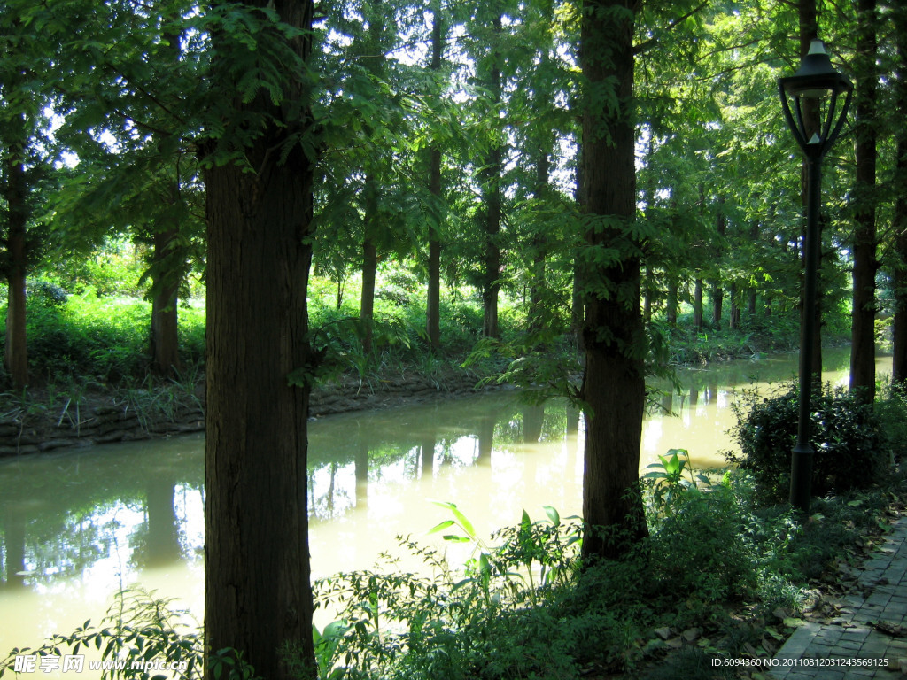 小河边 自然风景 乡间风景 河岸