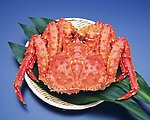 螃蟹