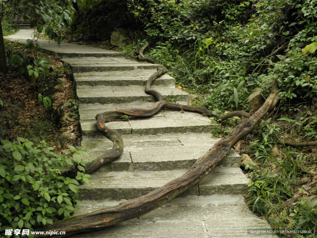 盘山石路