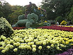 菊花展