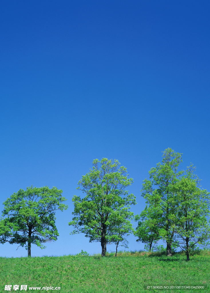 蓝天白云绿野田野
