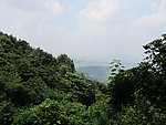 大南山