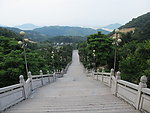 大南山藏莲市