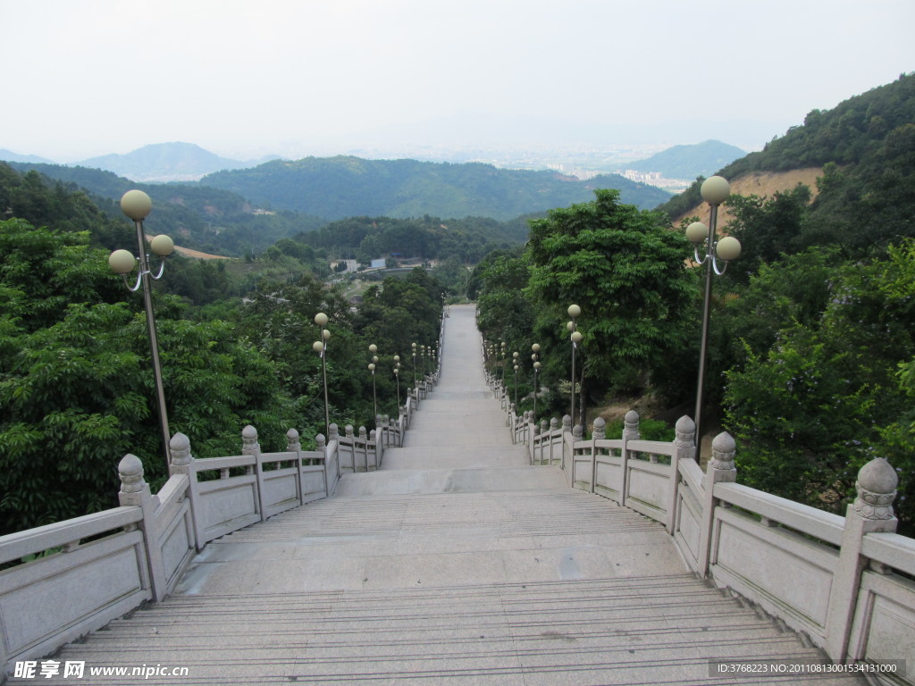 大南山藏莲市