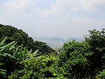 大南山