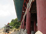 藏莲市