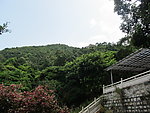 大南山