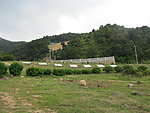 大南山藏莲市