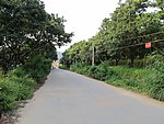 乡村公路