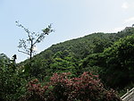 大南山