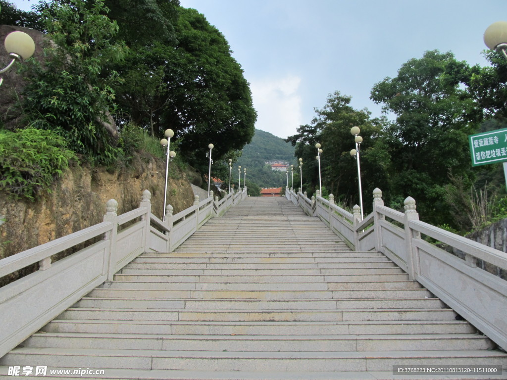 大南山藏莲市