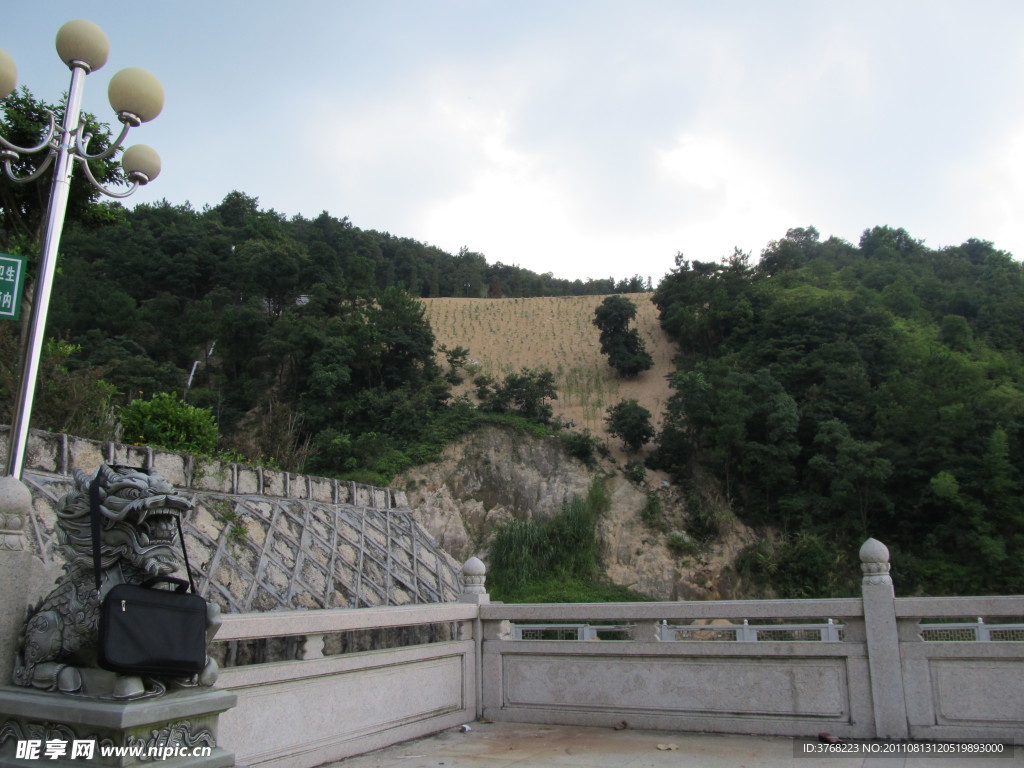 大南山藏莲市
