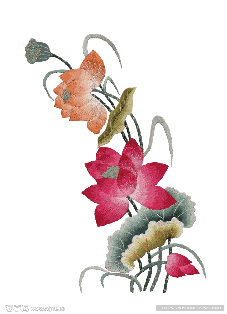 荷花
