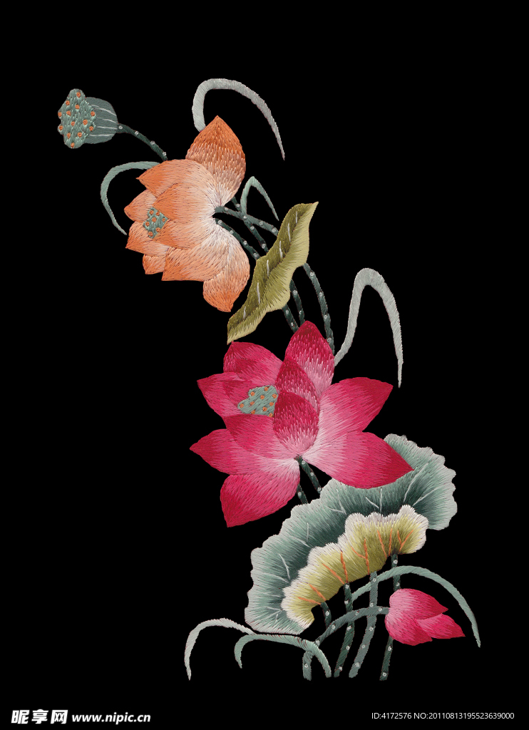 荷花