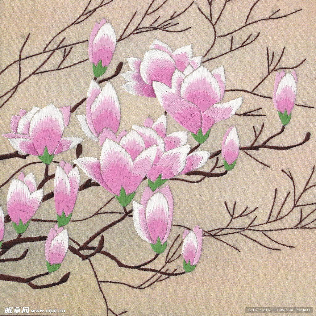 玉兰花
