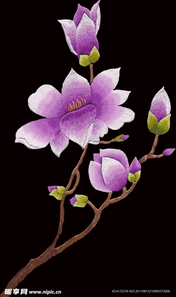 玉兰花