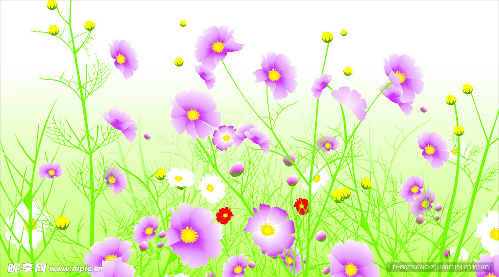 鲜花
