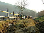 乡村风景