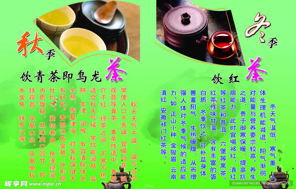 茶叶宣传册