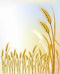 移门图案