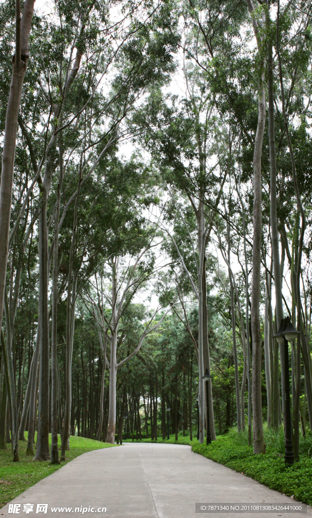 莲花山公园小道