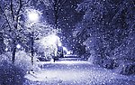 雪景