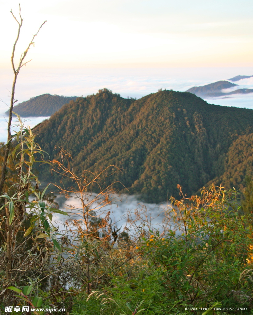云山云雾