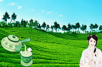 古典美女茶背景