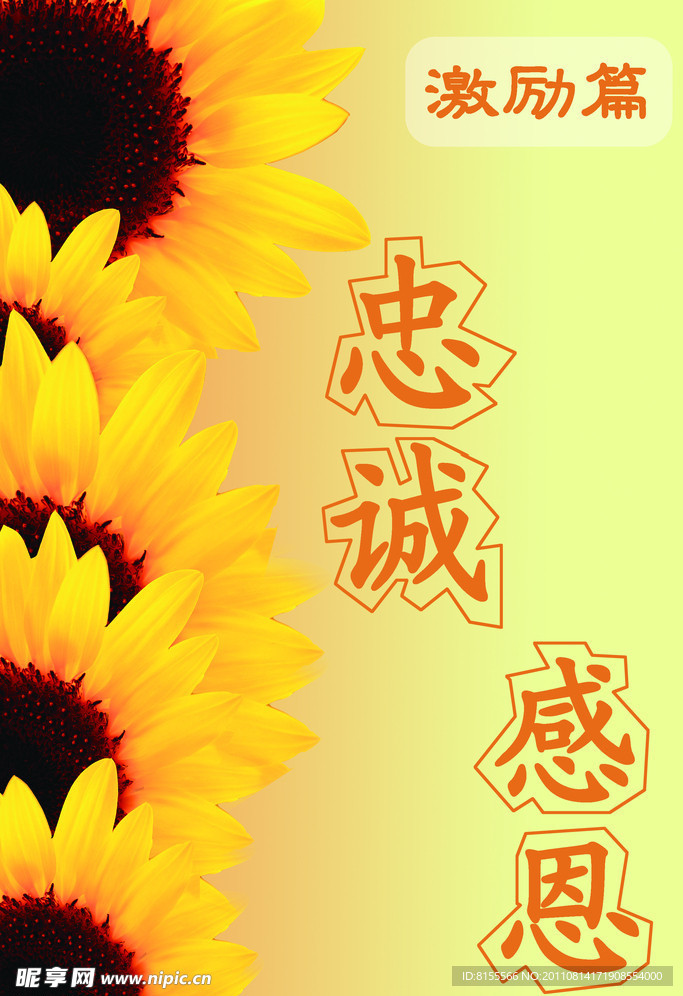 企业展板