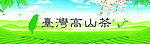 台湾高山茶