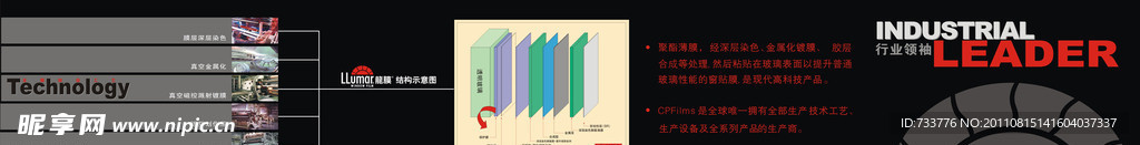 龙膜结构示意图