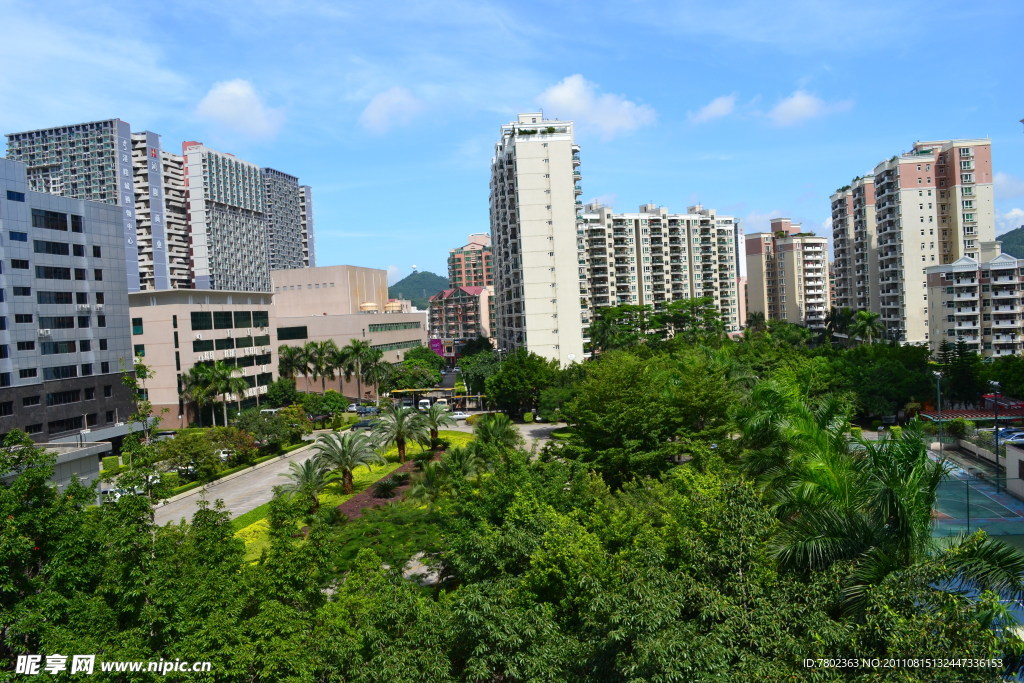 城市风景