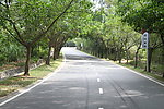 道路