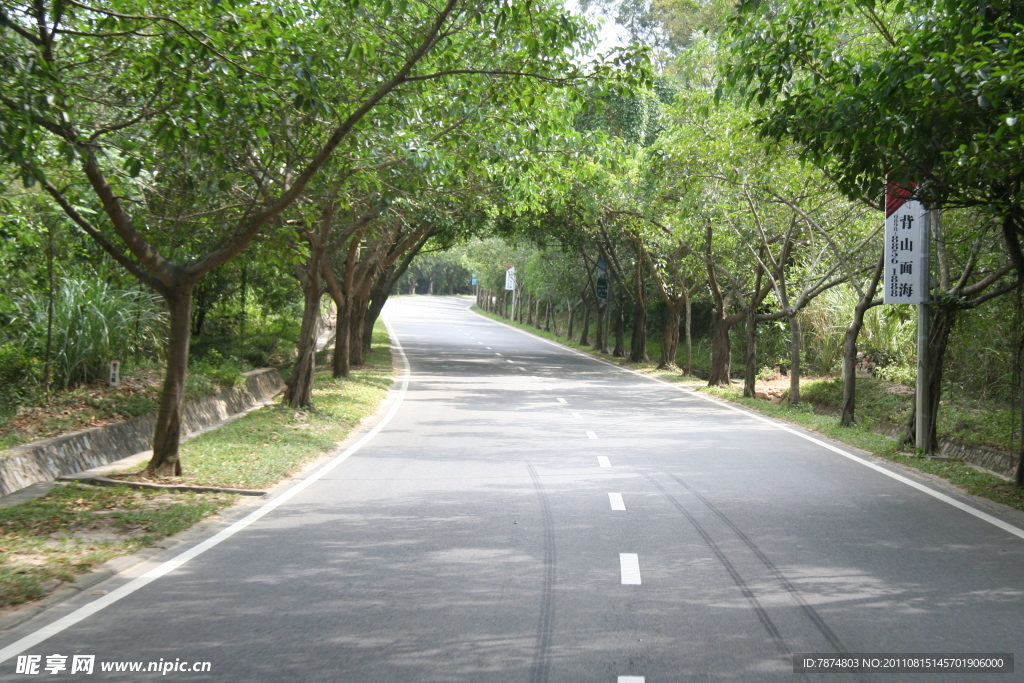 道路