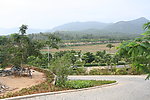 风景