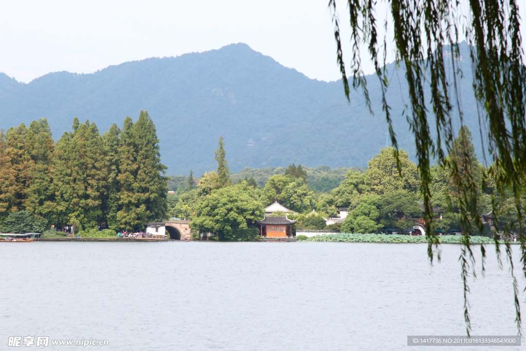 西湖 曲院风荷