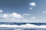 海洋
