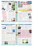 公司内刊