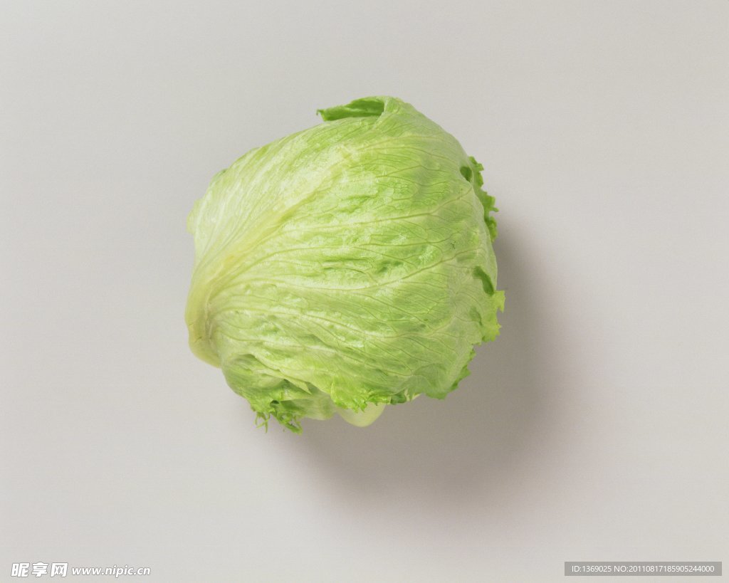 包菜