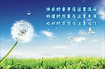 校园展版