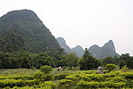 山 风景