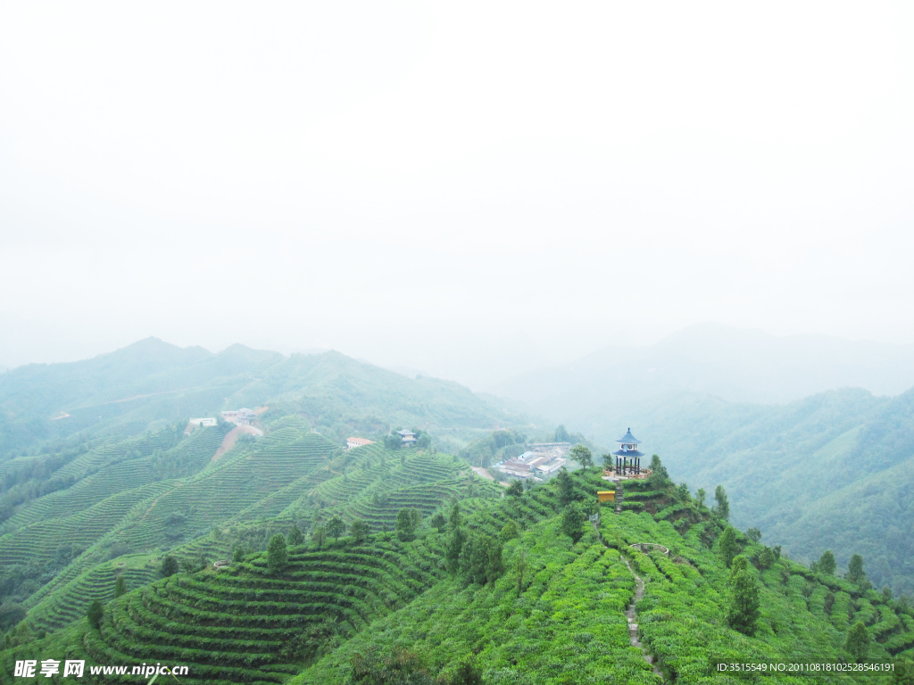 茶山