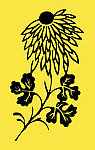 中国传统花纹