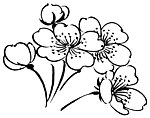 传统花纹素材