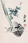 粽子黄蜂