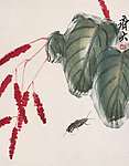 花卉蝼蛄